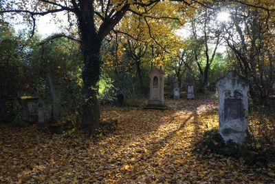 Cemetery St.Marx12.jpg