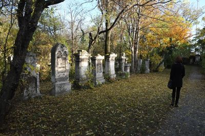 Cemetery St.Marx16.jpg