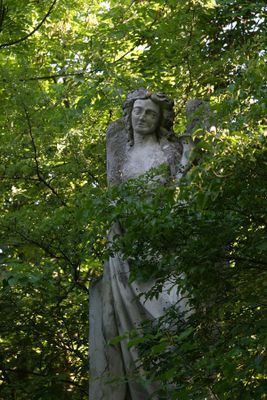 Cemetery St.Marx20.jpg