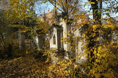 Cemetery St.Marx23.jpg