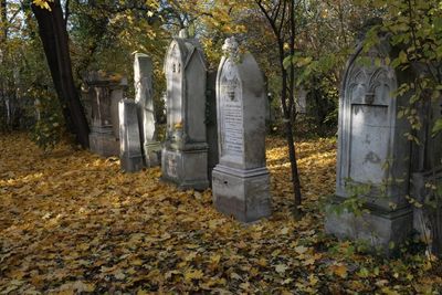 Cemetery St.Marx25.jpg
