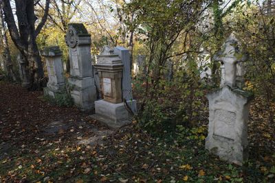 Cemetery St.Marx28.jpg
