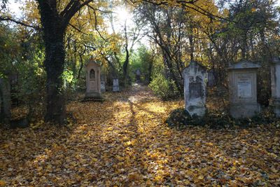 Cemetery St.Marx29.jpg