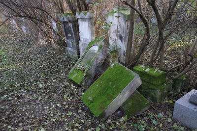 Cemetery St.Marx30.jpg