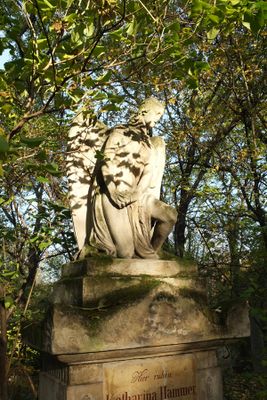 Cemetery St.Marx33.jpg