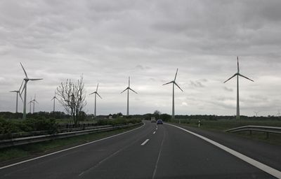 g13/69/31969/3/175551816.c2385aee.JPEG