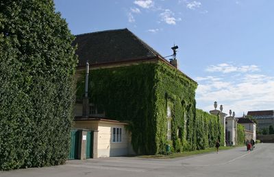 Augartenpark3