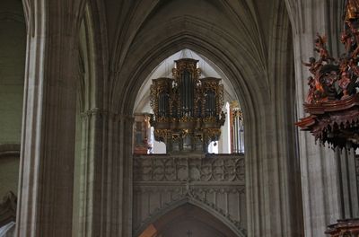 Cluj Naboca2