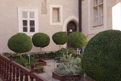 Klosterneuburg24.jpg