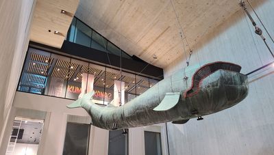 Wien Museum23.jpg