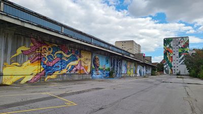 Calle libre Vienna10.jpg