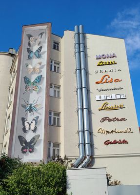Calle libre Vienna-2016