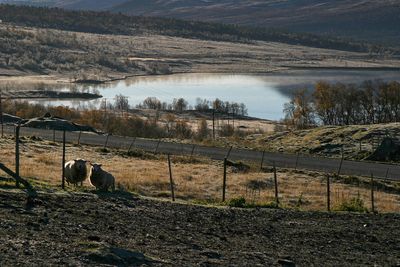 Dovrefjell