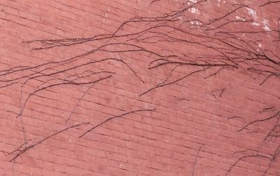 texture 1.jpg