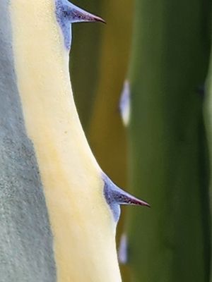 texture 3.jpg
