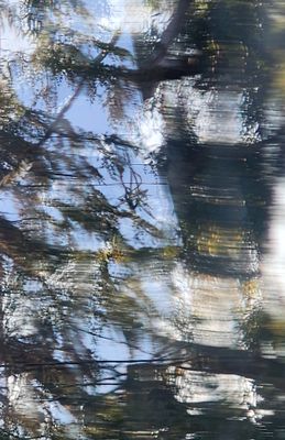 20231020_174154.jpg