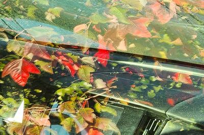 AZ_ShootingThrough-4.jpg