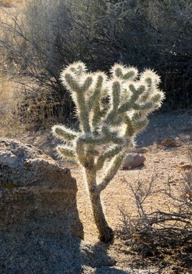 P1011727-4.jpg