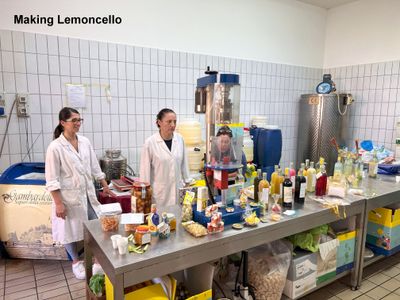 Making Lemoncello