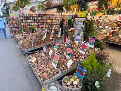 Flower Market