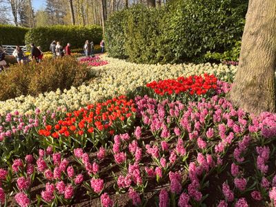 Keukenhof Gardens