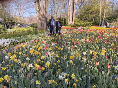 Keukenhof Gardens