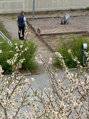 Walking Missan