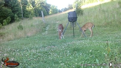 2024_random_pics