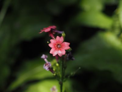 IMG_3914.JPG