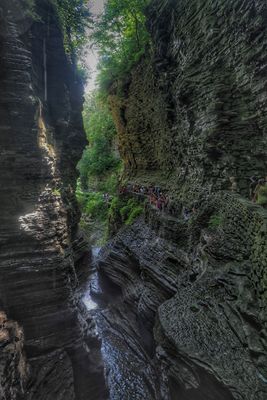 Watkins Glenn State Park NY