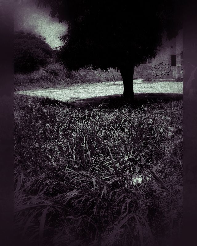 watching the shadows