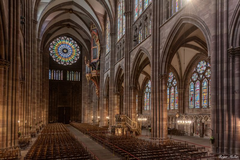 La nef avec la rosace / The nave with the rose window