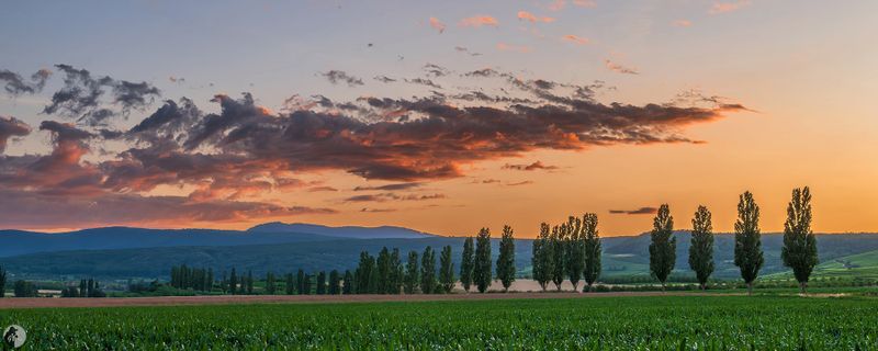 Featured Gallery