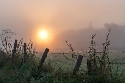 g13/69/601169/3/174819187.4fdd39f0.JPEG