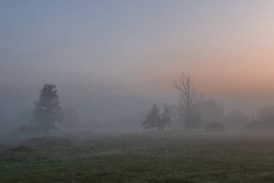 g13/69/601169/3/174833840.57c01f13.JPEG