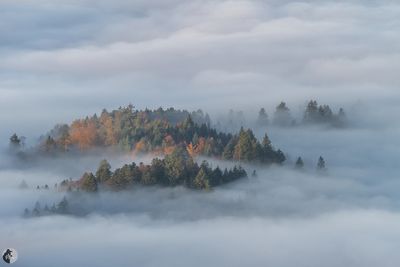 L'automne
