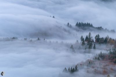 L'automne