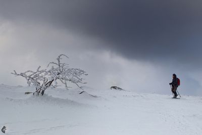 Balade hivernale