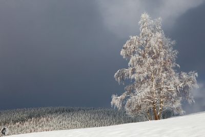 g13/69/601169/3/175083331.f8374ec6.JPEG