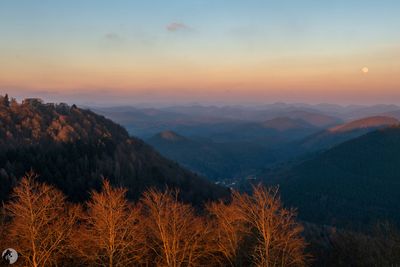 Vue sur le Palatinat