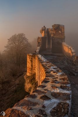 Ruines du château de Wegelnburg