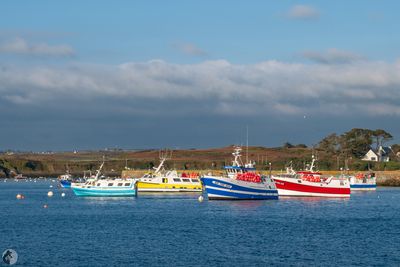 Le port du Conquet