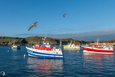 Le port du Conquet