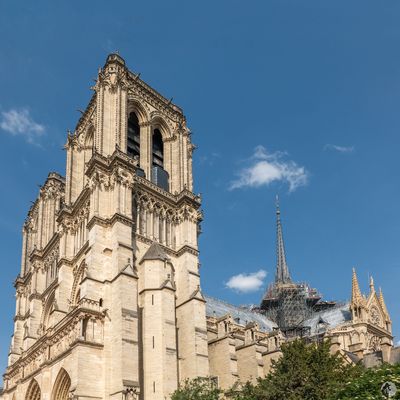 Cathédrale Notre-Dame de Paris