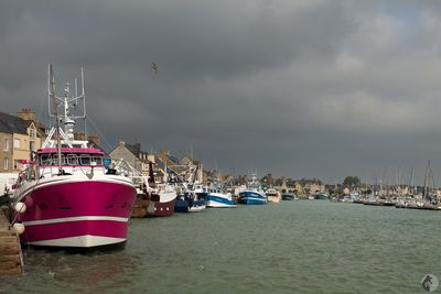 Le port de Saint-Vaast-la-Hougue