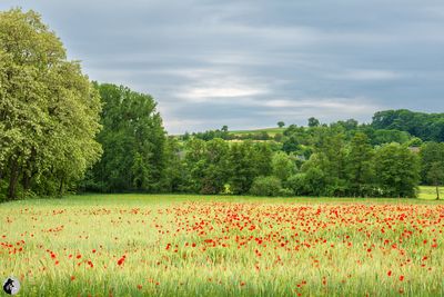 Paysages et ambiance