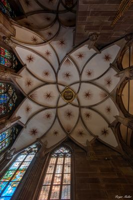 Featured Gallery
