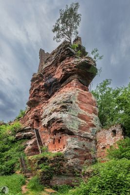 Featured Gallery