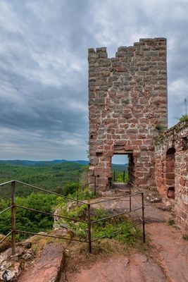 Featured Gallery