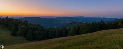 Featured Gallery